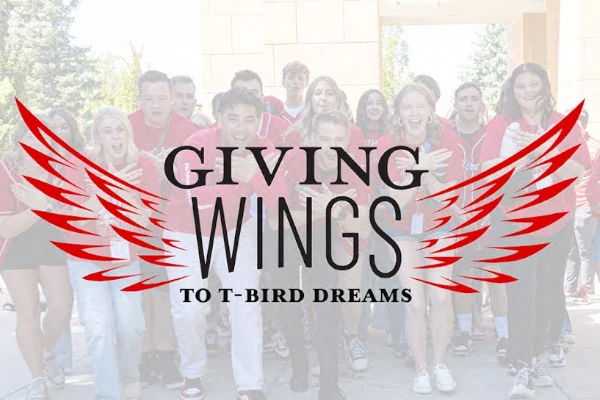 Giving Wings to T-Bird Dreams