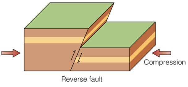 Reverse Fault illustration