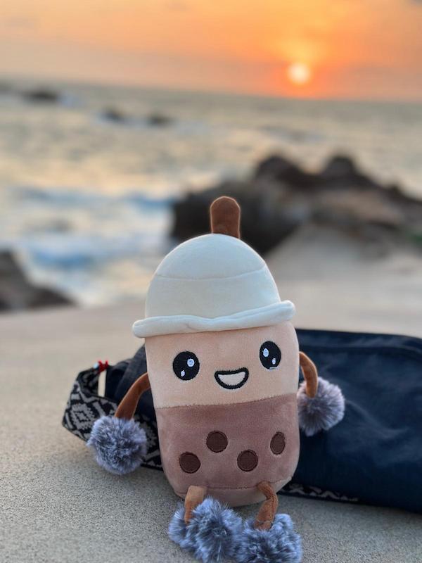 Plushie on the Beach in Taiwan